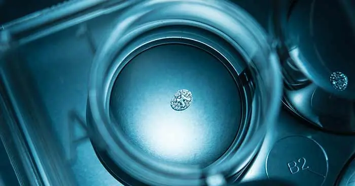 Synthetic Human Embryo
