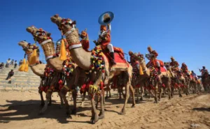 desert festival in thar desert, Jaisalmer